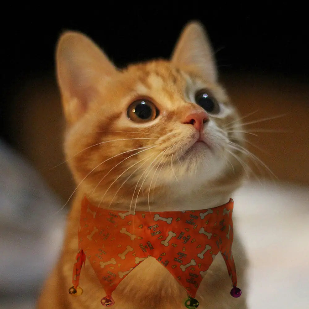 Adjustable Holiday Dress-Up for Dogs and Cats