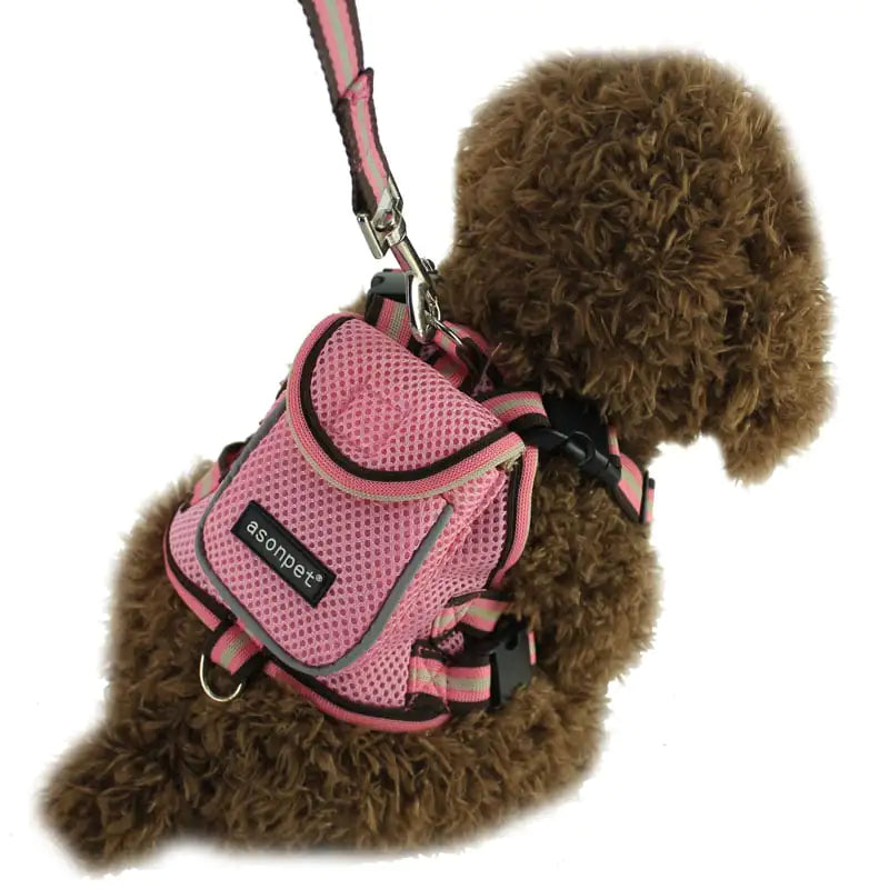 Companion CarryPlus Pet Backpack