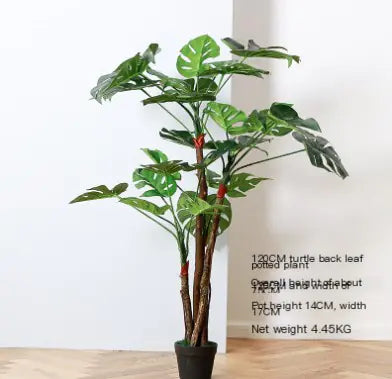 Exotic Monstera Leaf Photo Props