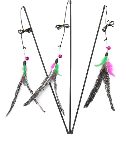 Delightful Feathered Cat Teaser