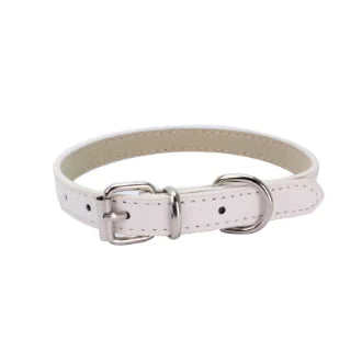 Cat and Dog Collar with Leash