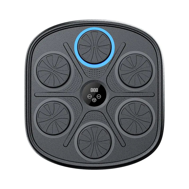 Rhythmic Punch Training Panel