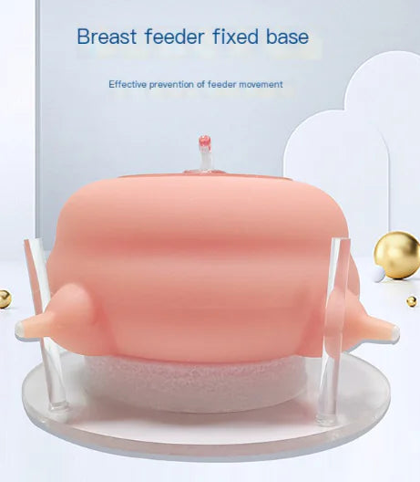 Wholesale Pet Nursing Bottle with Anti-Choke Design