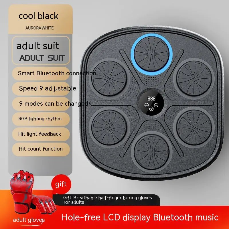 Rhythmic Punch Training Panel