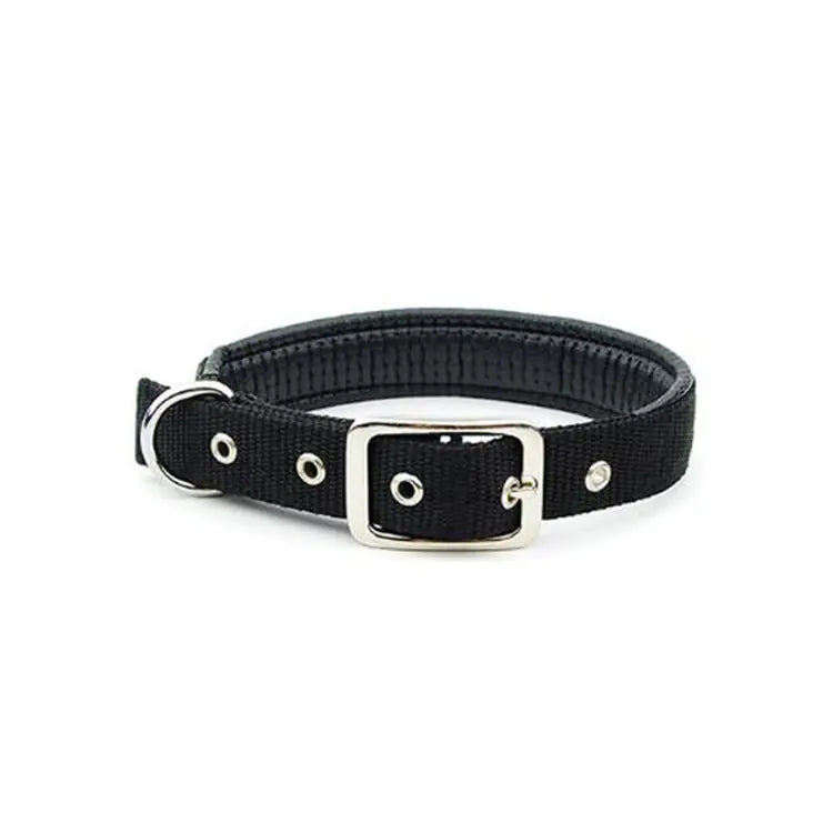 Medium and Large Dog Collars for All Breeds