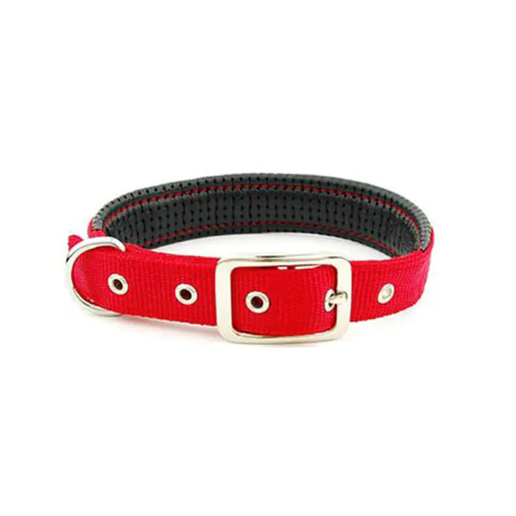 Medium and Large Dog Collars for All Breeds