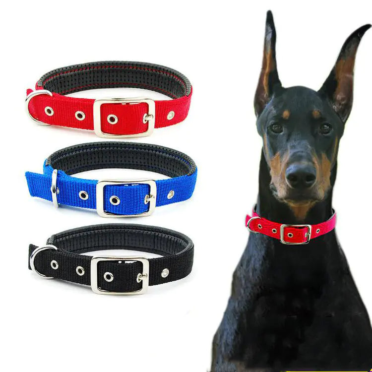 Medium and Large Dog Collars for All Breeds