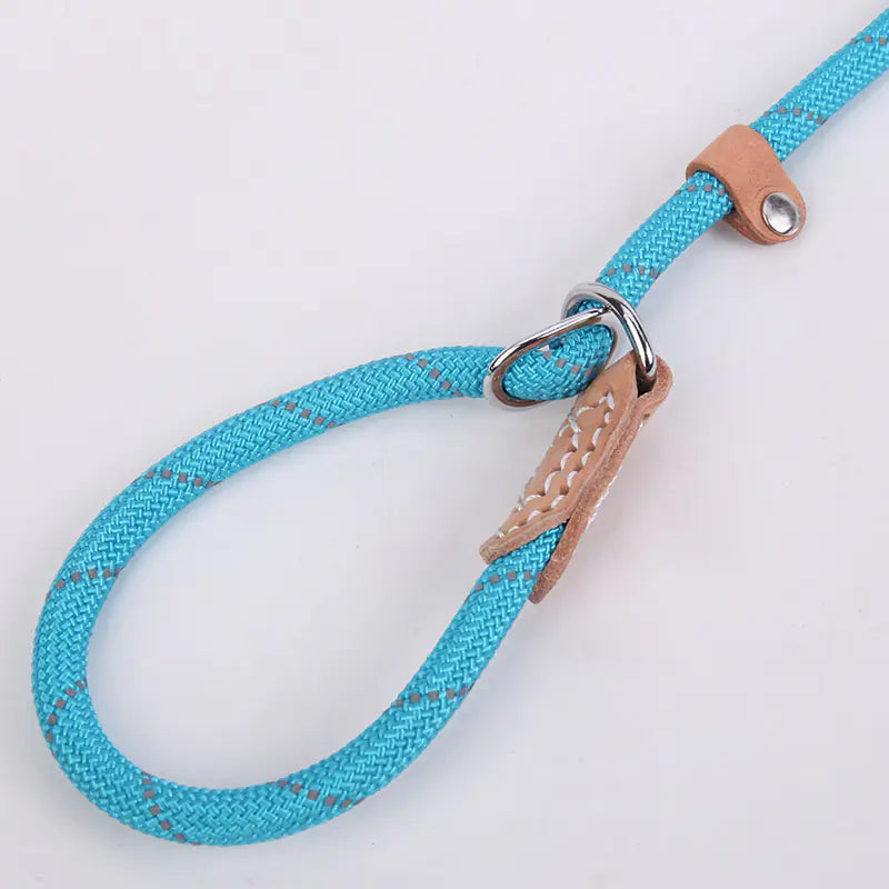 Hi-Vis Nylon Dog Leash