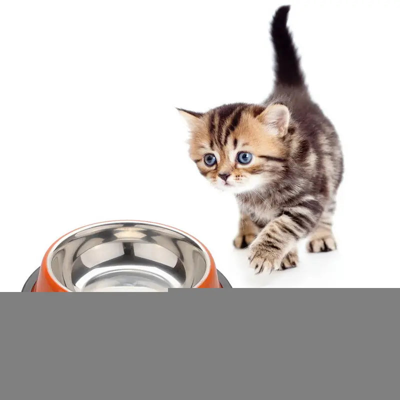 Stainless Steel Non-Slip Pet Bowl for Cats and Dogs