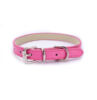 Cat and Dog Collar with Leash