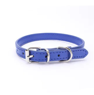 Cat and Dog Collar with Leash