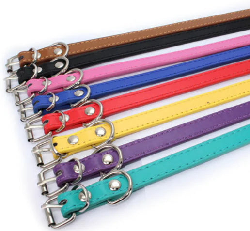 Cat and Dog Collar with Leash