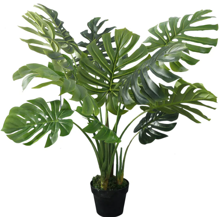 Exotic Monstera Leaf Photo Props