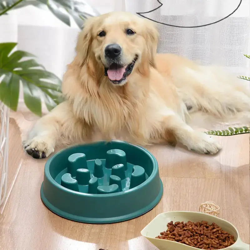 Petal-Shaped Slow Feed Dog Puzzle Bowl - Anti-Slip