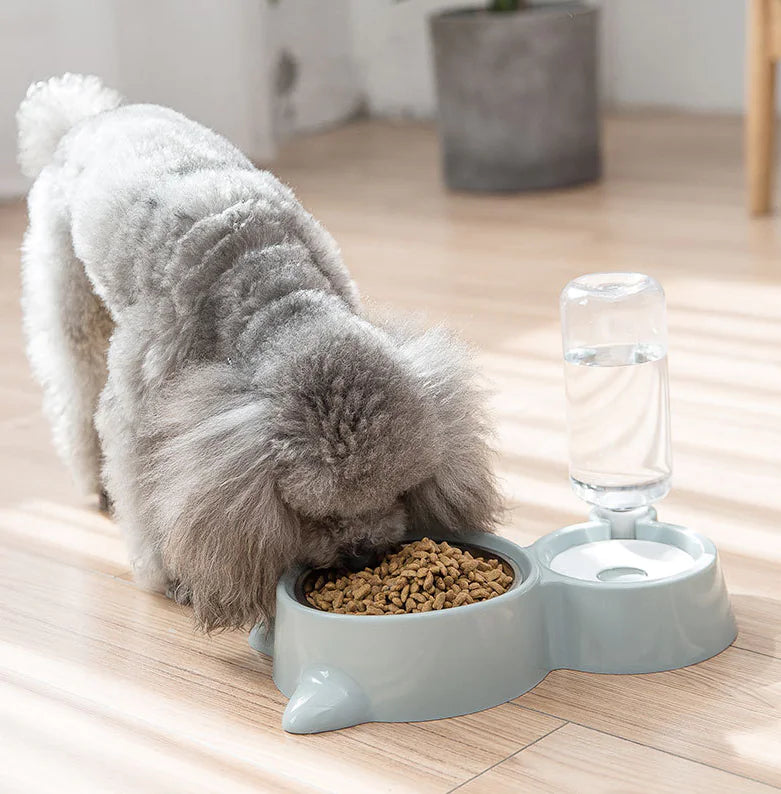 Stainless Steel Pet Bowl for Cats and Dogs