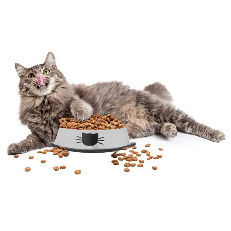 Stainless Steel Non-Slip Pet Bowl for Cats and Dogs