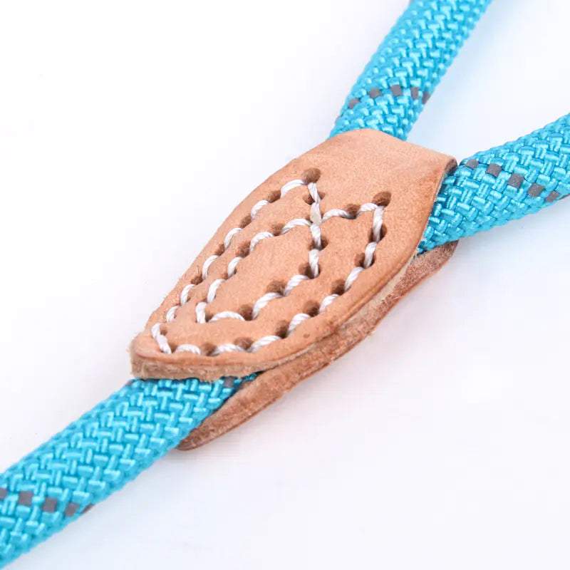 Hi-Vis Nylon Dog Leash