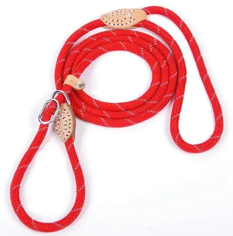 Hi-Vis Nylon Dog Leash