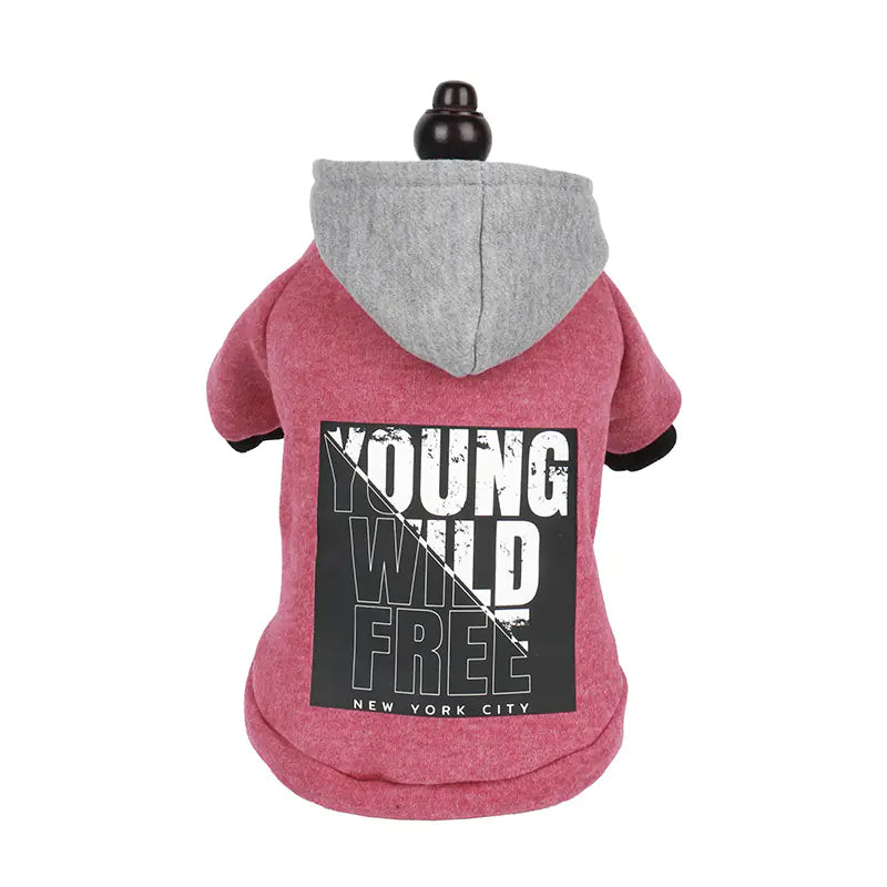 Hooded Sweatshirt with Letter Print Design