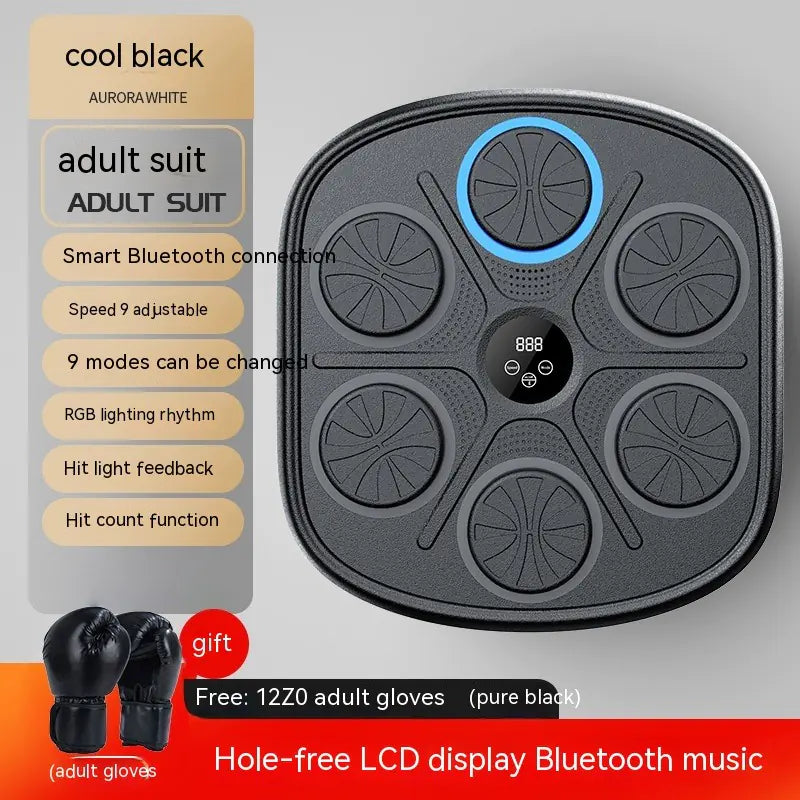 Rhythmic Punch Training Panel