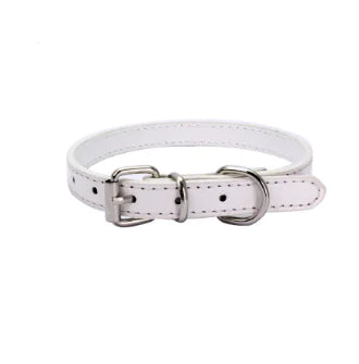 Cat and Dog Collar with Leash