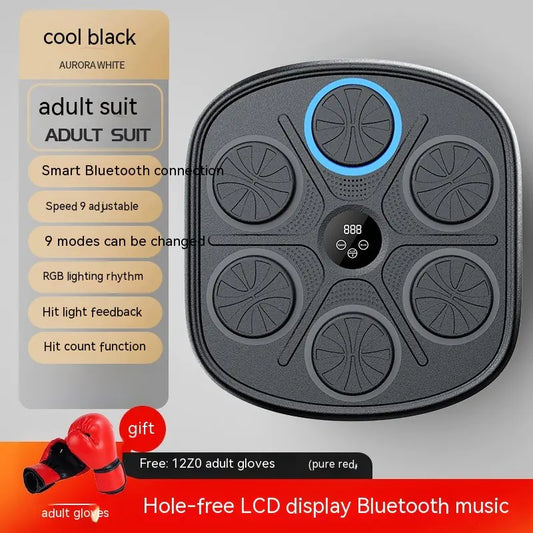 Rhythmic Punch Training Panel