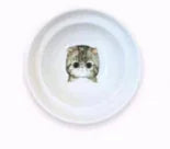 Ergonomic Cat Dining Stand