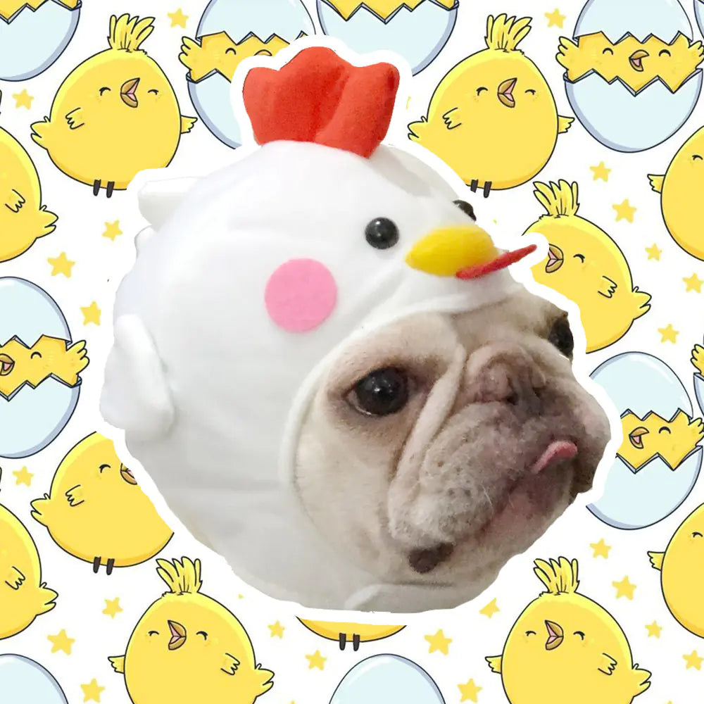 Creative Pet Supplies Cute Dog Hat for Styling Videos