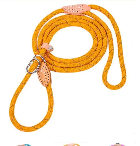 Hi-Vis Nylon Dog Leash