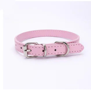 Cat and Dog Collar with Leash