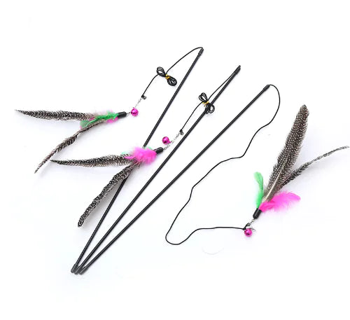 Delightful Feathered Cat Teaser