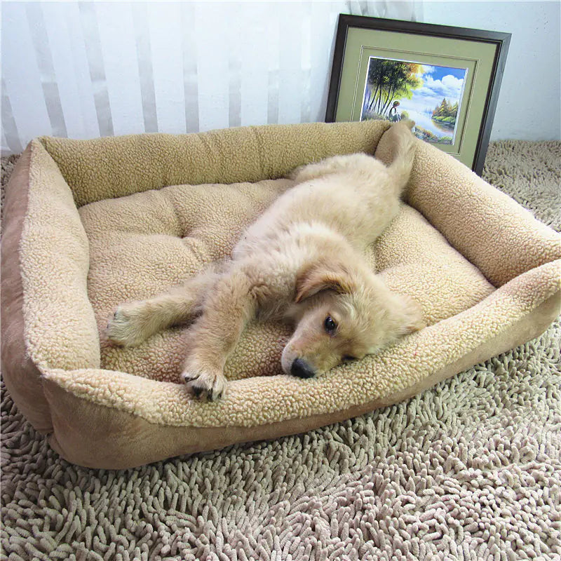 Teddy Golden Retriever Dog Bed and Pet House