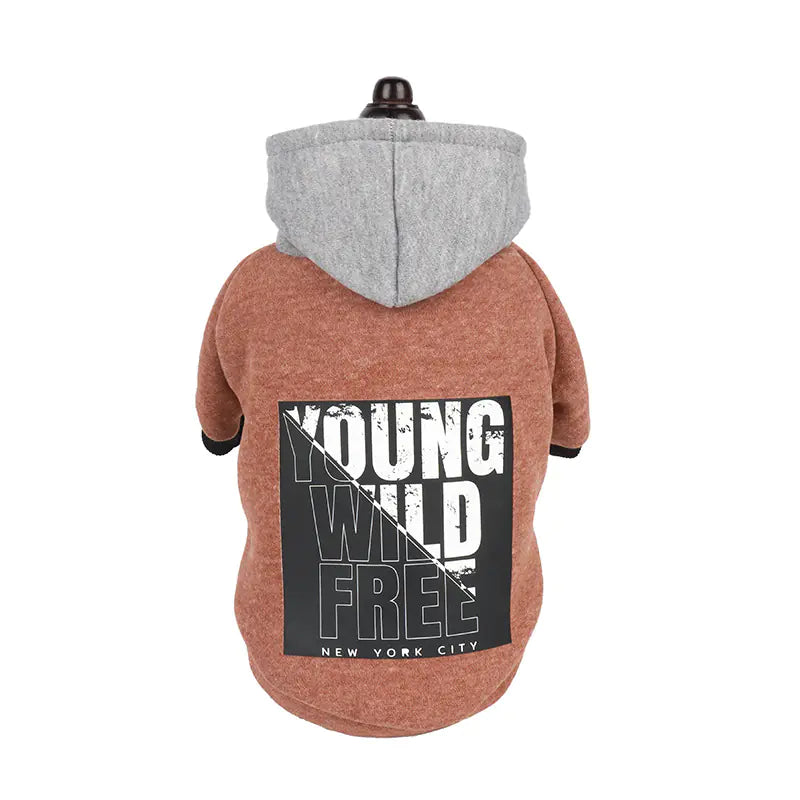 Hooded Sweatshirt with Letter Print Design