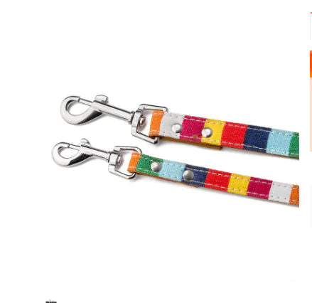 New Colorful Pet Leash - Canvas + PU Material
