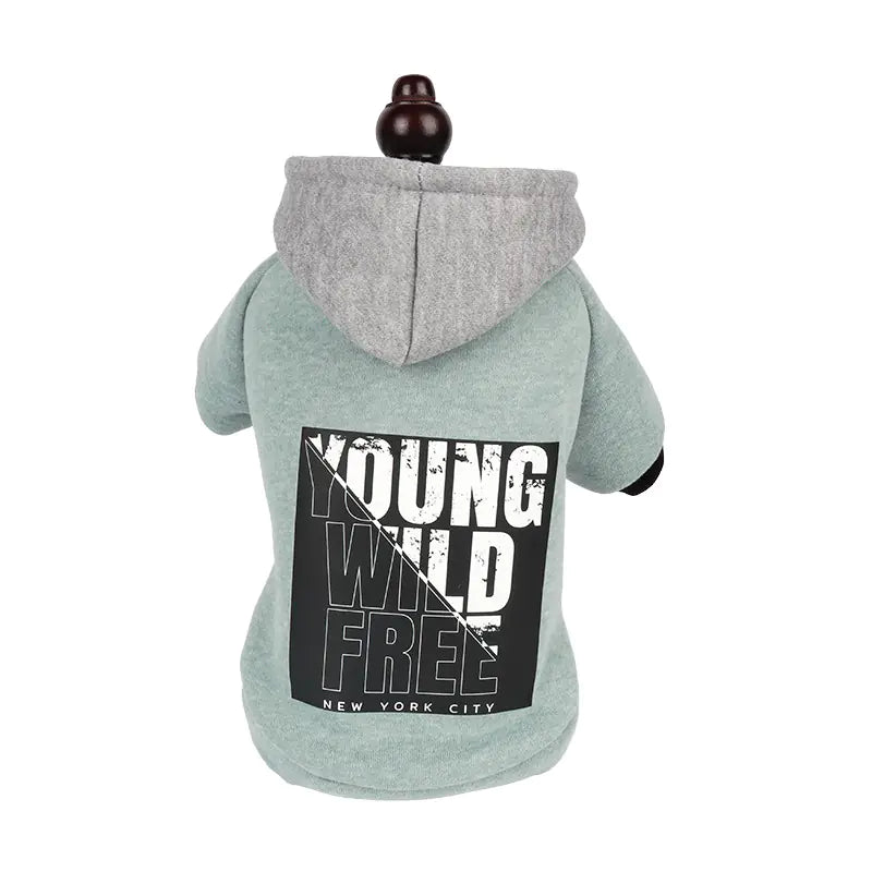 Hooded Sweatshirt with Letter Print Design