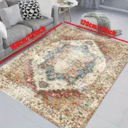 Boho Chic Living Room Rug (39x59")