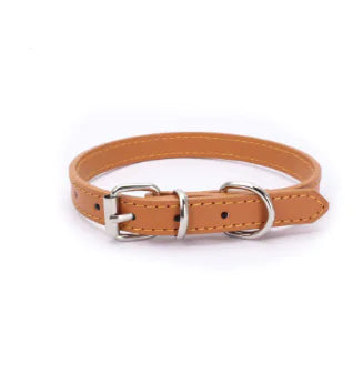 Cat and Dog Collar with Leash