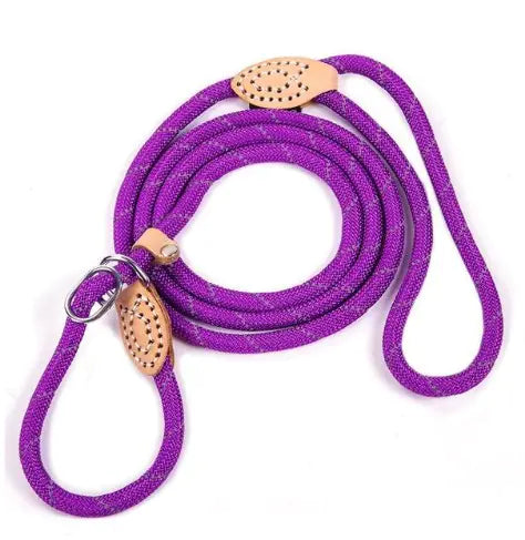 Hi-Vis Nylon Dog Leash