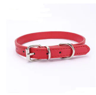 Cat and Dog Collar with Leash