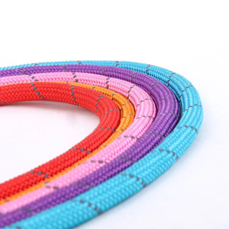 Hi-Vis Nylon Dog Leash